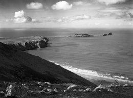 Large Worms head print by Clive Jenkins