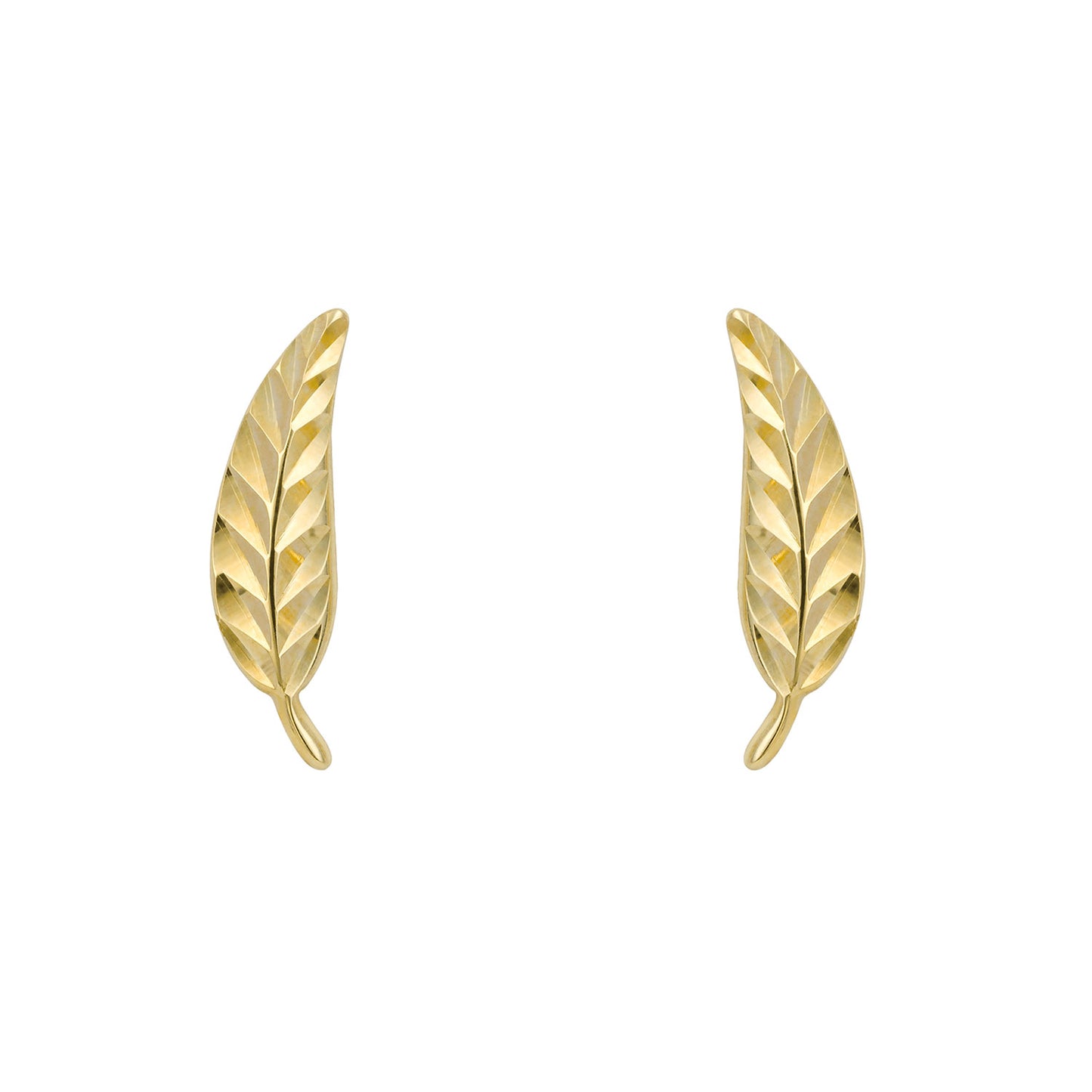 9ct Yellow Gold Diamond Cut Leaf Earrings