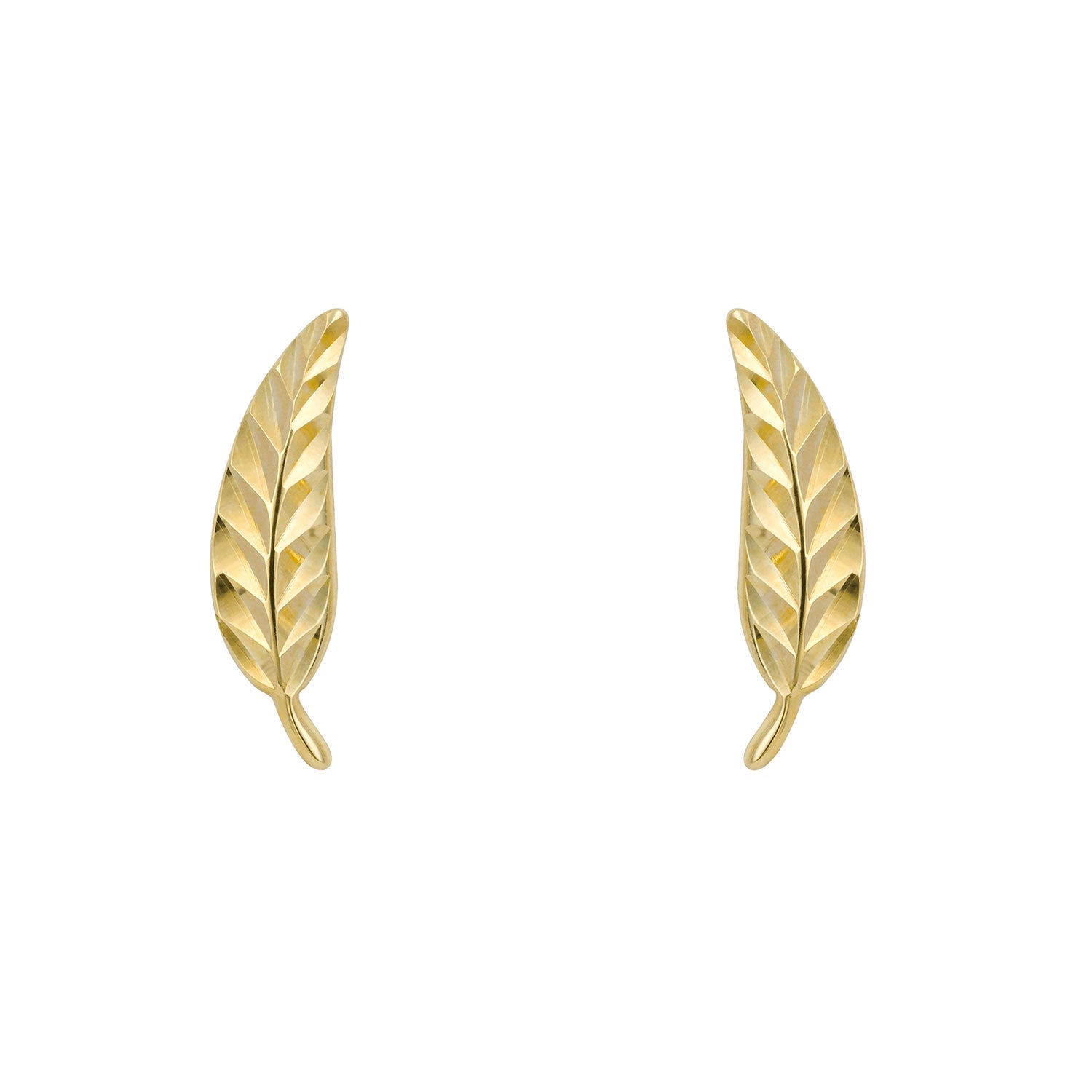 9ct Yellow Gold Diamond Cut Leaf Earrings