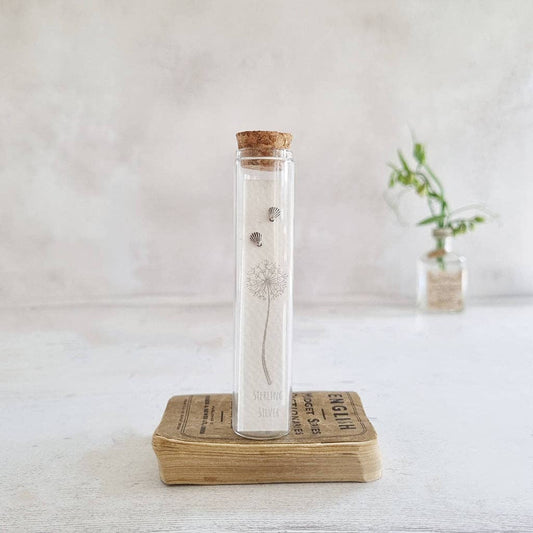 Sterling silver Shell stud earrings in a Bottle